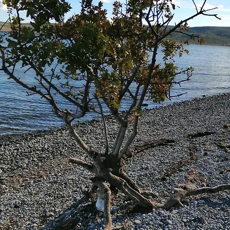 Апартаменты Mia Селине